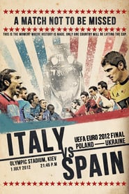 Euro Final : Spain vs Italy