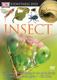 Eyewitness DVD: Insect